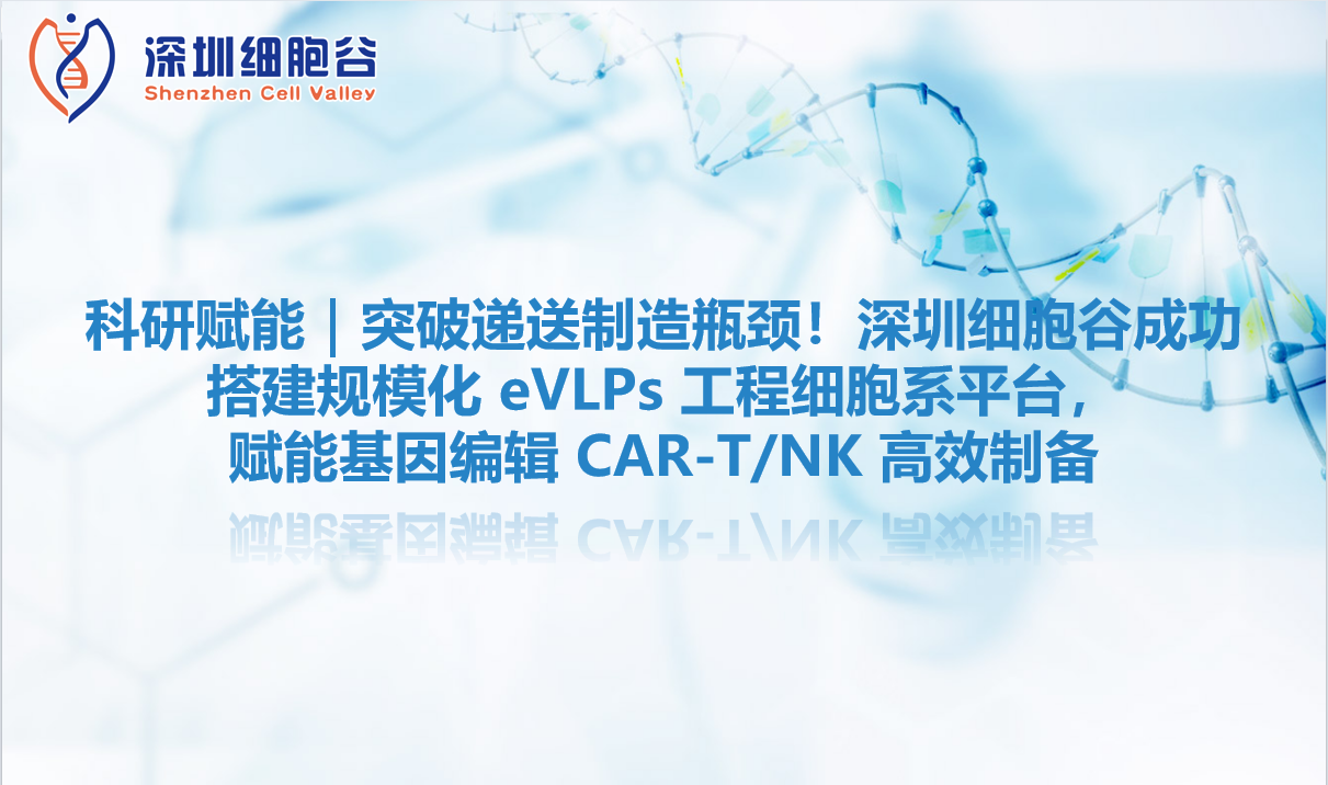 科研赋能｜突破递送制造瓶颈！深圳Ebpay支付成功搭建规模化 eVLPs 工程细胞系平台，赋能基因编辑 CAR-T/NK 高效制备